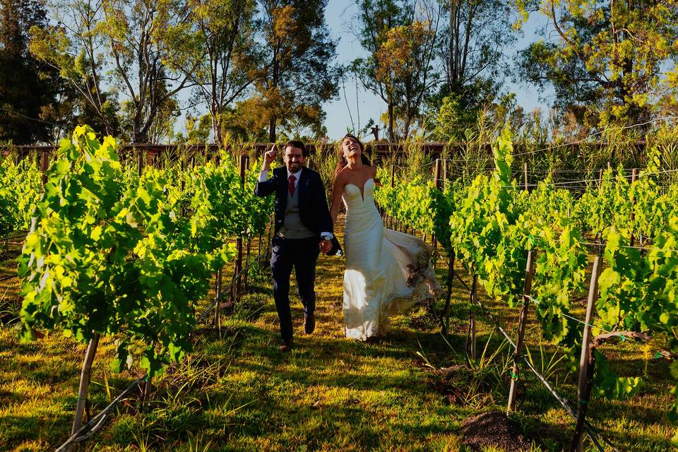 José Luis Lara, Wedding Day