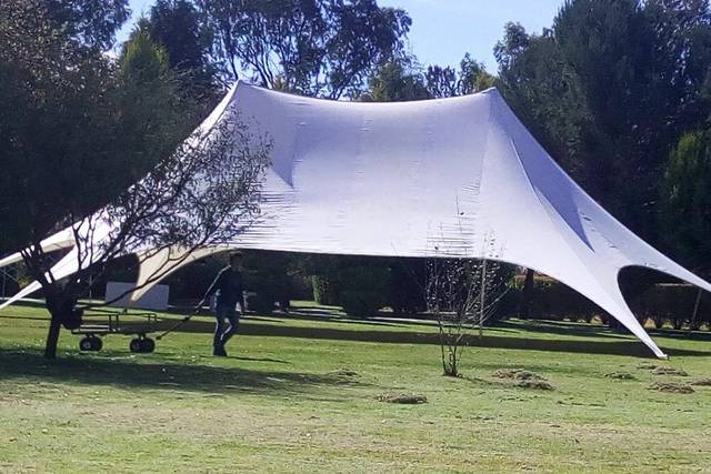Carpa estrella