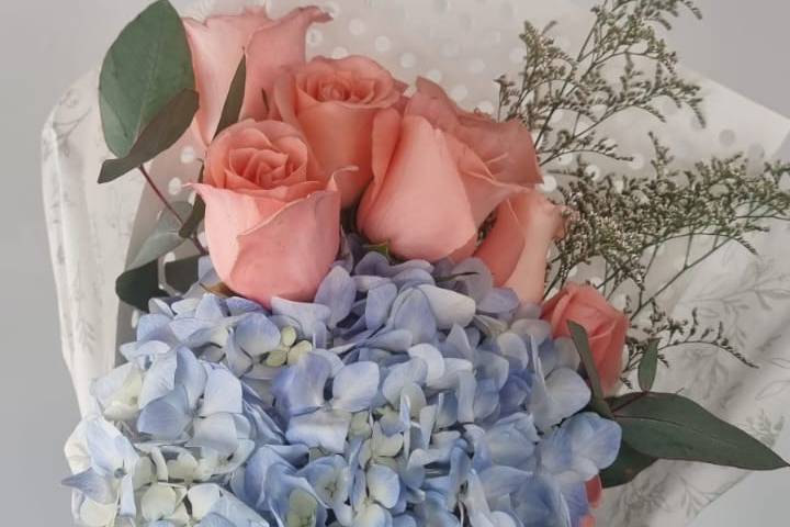 Hortencias hermosas