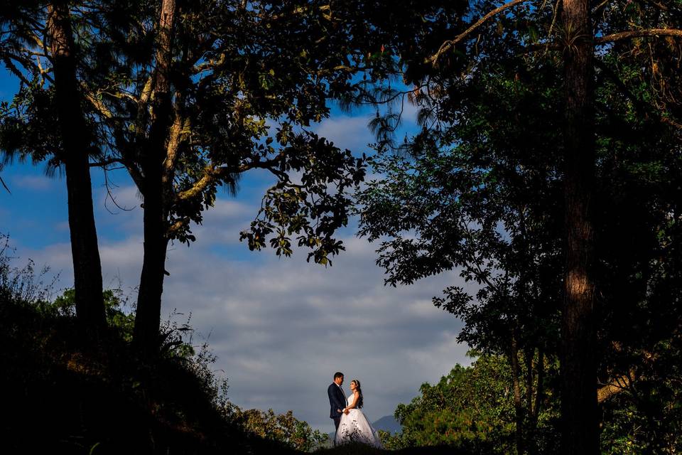 Trash the dress