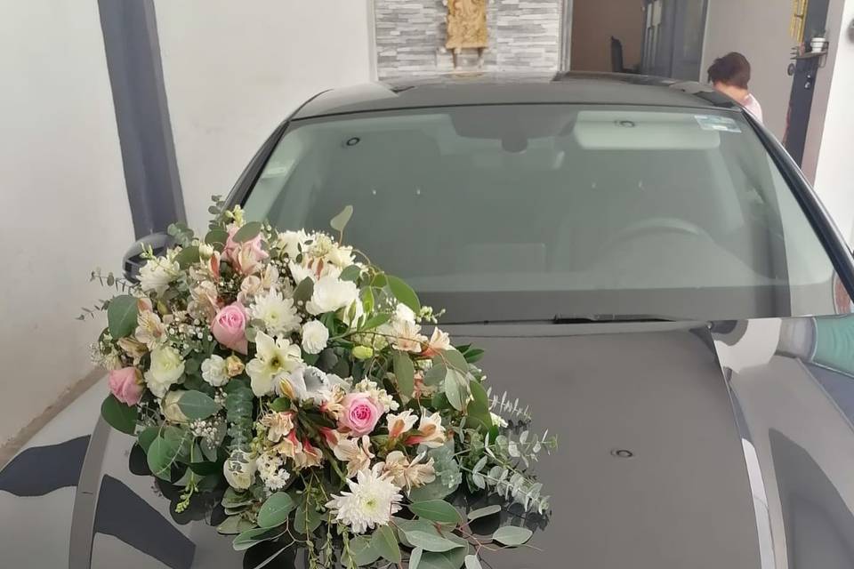 Decoraciòn de auto