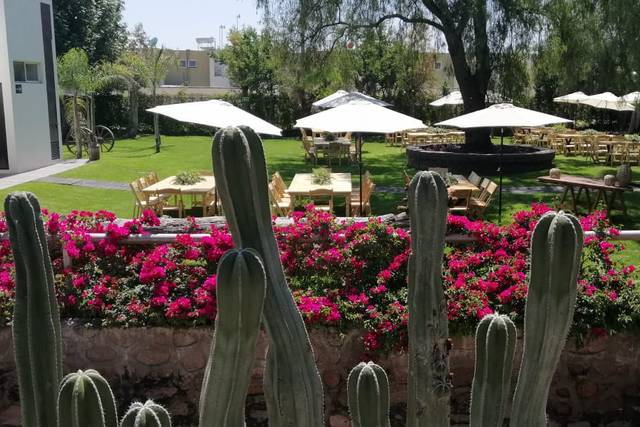 Montaje con sombrillas