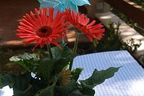 Pastelitos individuales