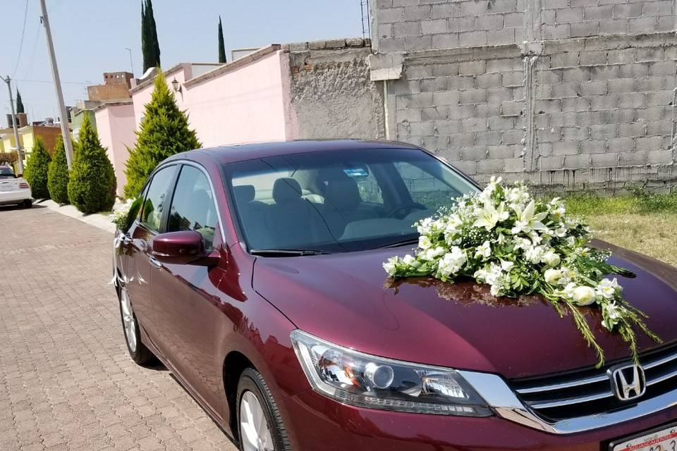 Auto para Bodas Parga