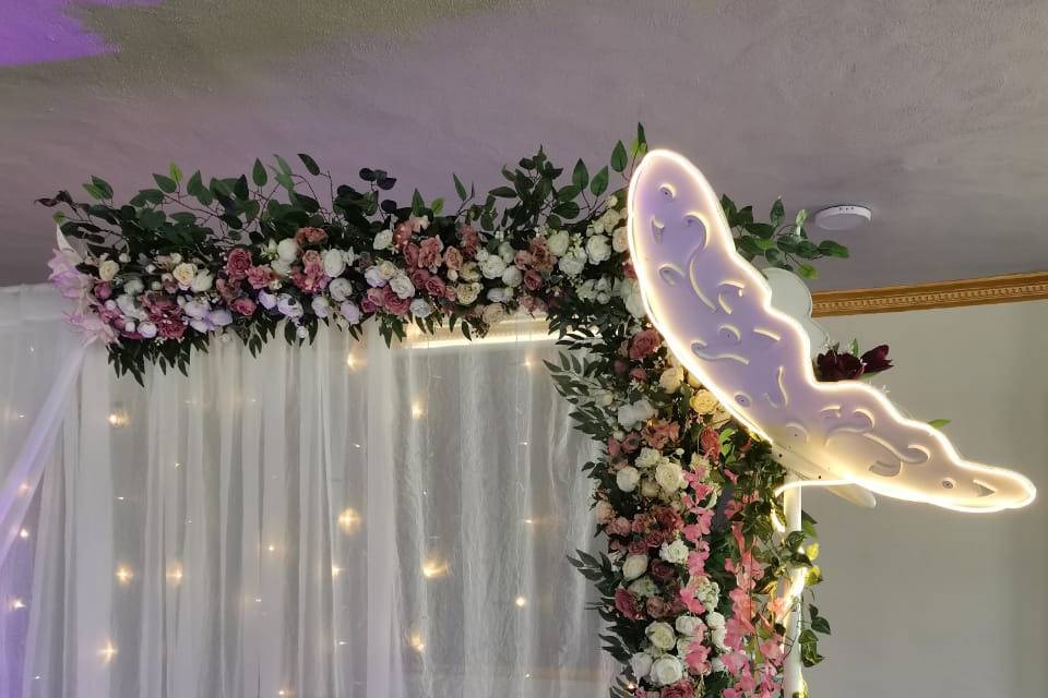 Back Mariposas