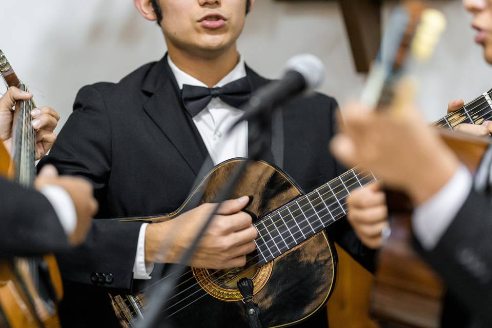 Rondalla Bellas Artes