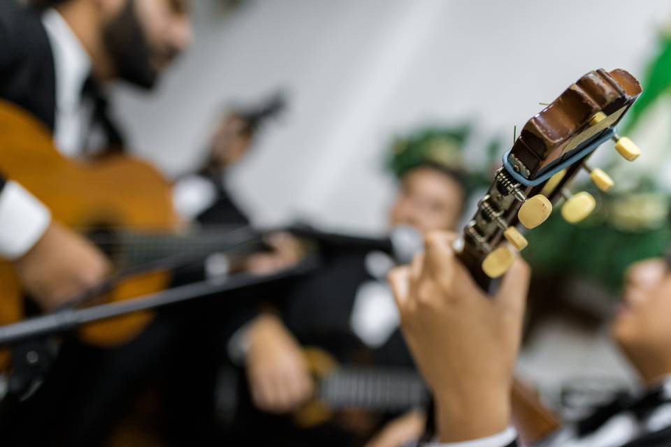 Rondalla Bellas Artes