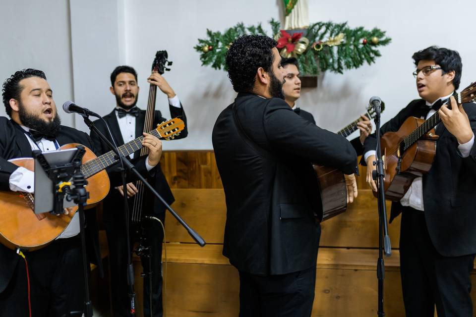 Rondalla Bellas Artes