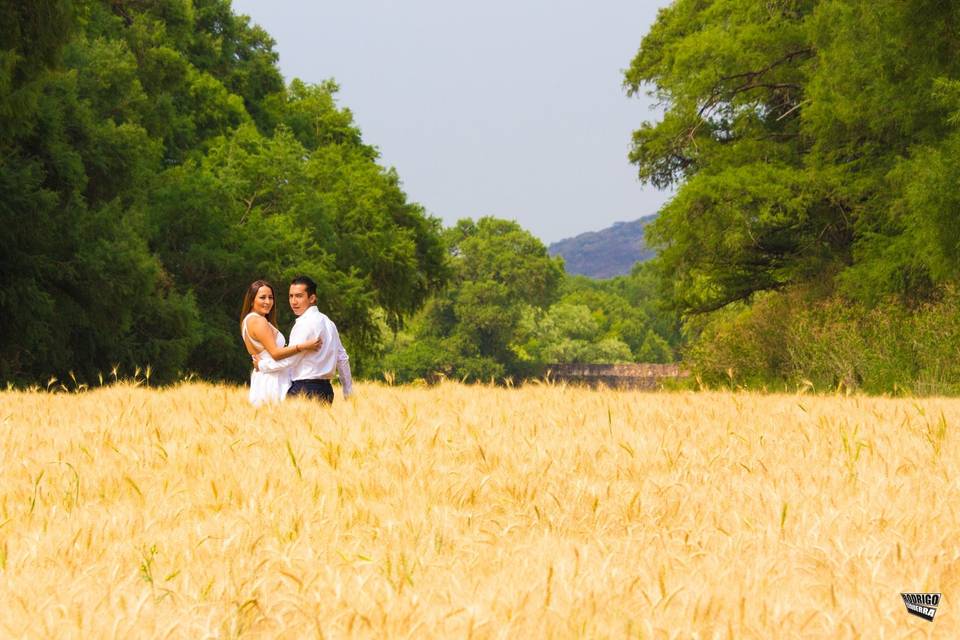 Estudio de pareja