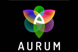 Aurum Pistas y party multiservicios