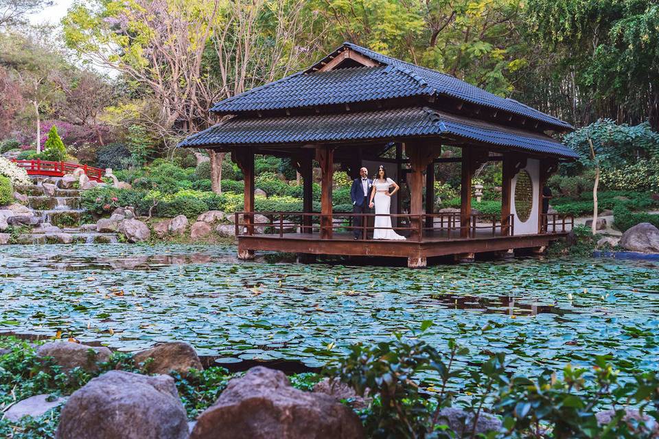 Boda en Jardines de México