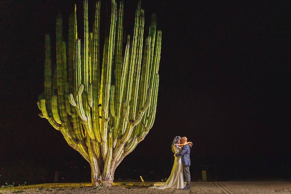 Boda en Jardines de México