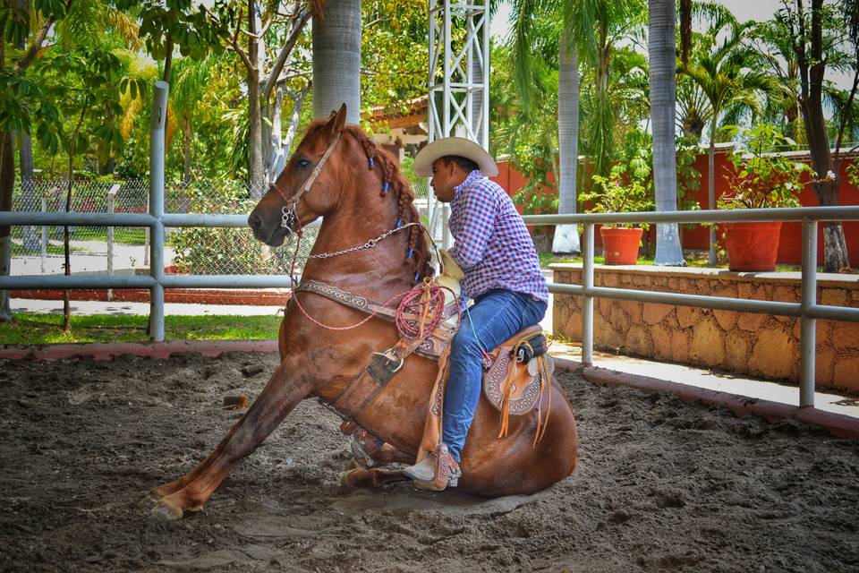 Show de caballos