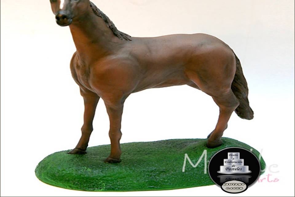 Caballo sabor chocolate