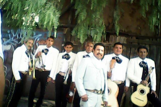 Excelente agrupación