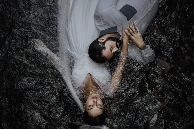 Venusia's Imaginary