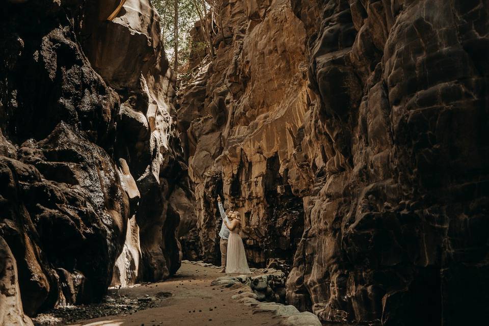 Trash the Dress