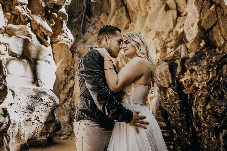 Trash the Dress