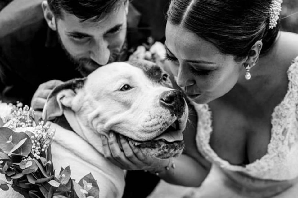 Bodas pet friendly