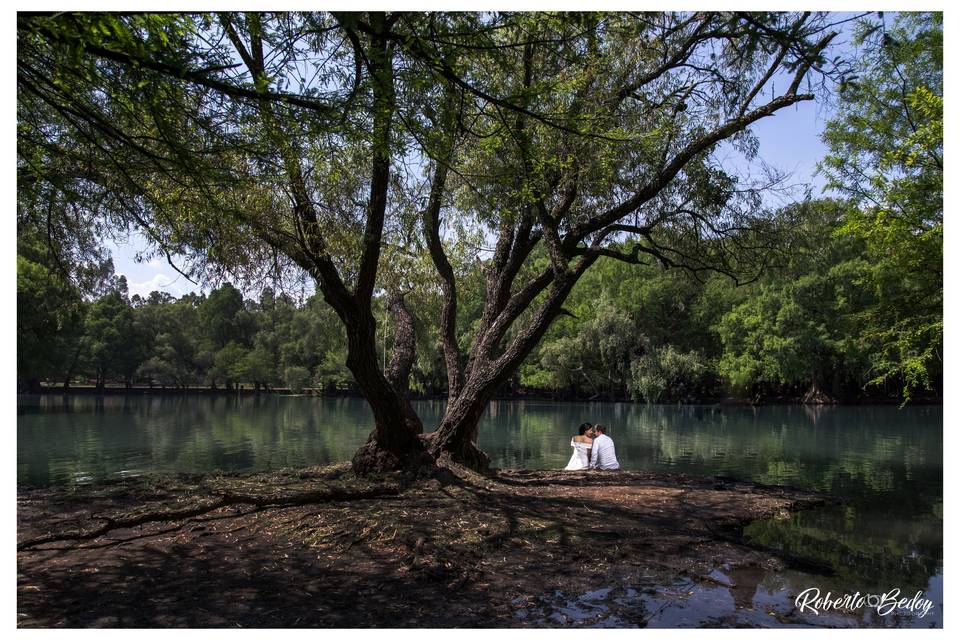 Trash the dress