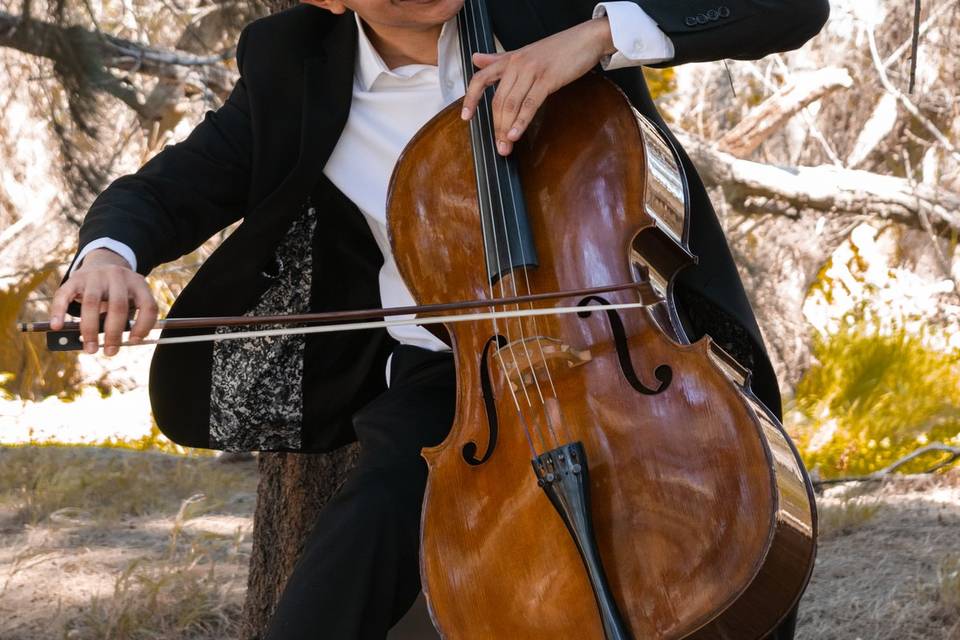 Cello