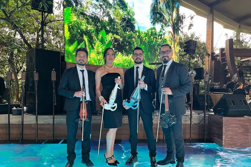 4 Violins (4solistas)