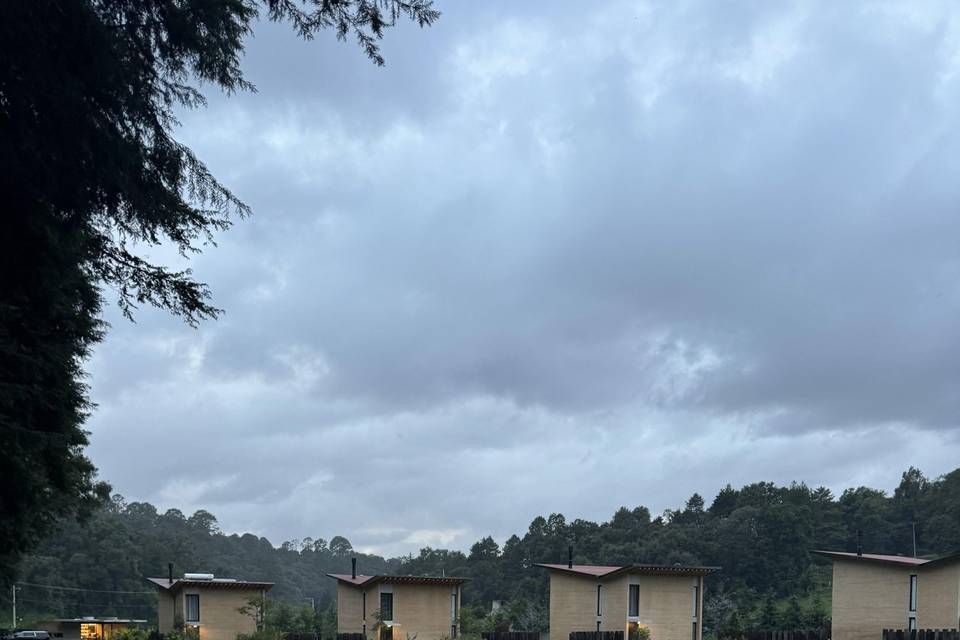 Jardín  frente al lago