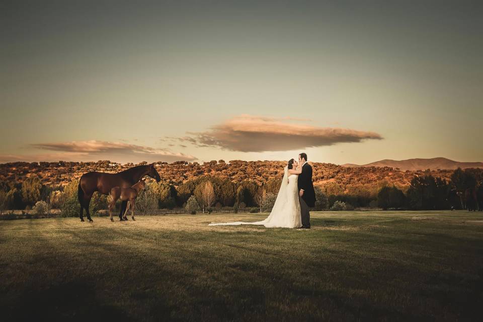 Fotos de parejas casadas