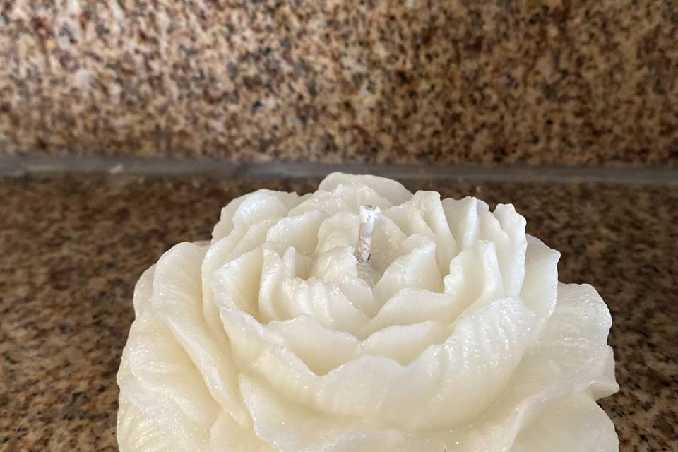 Peonia souvenirs