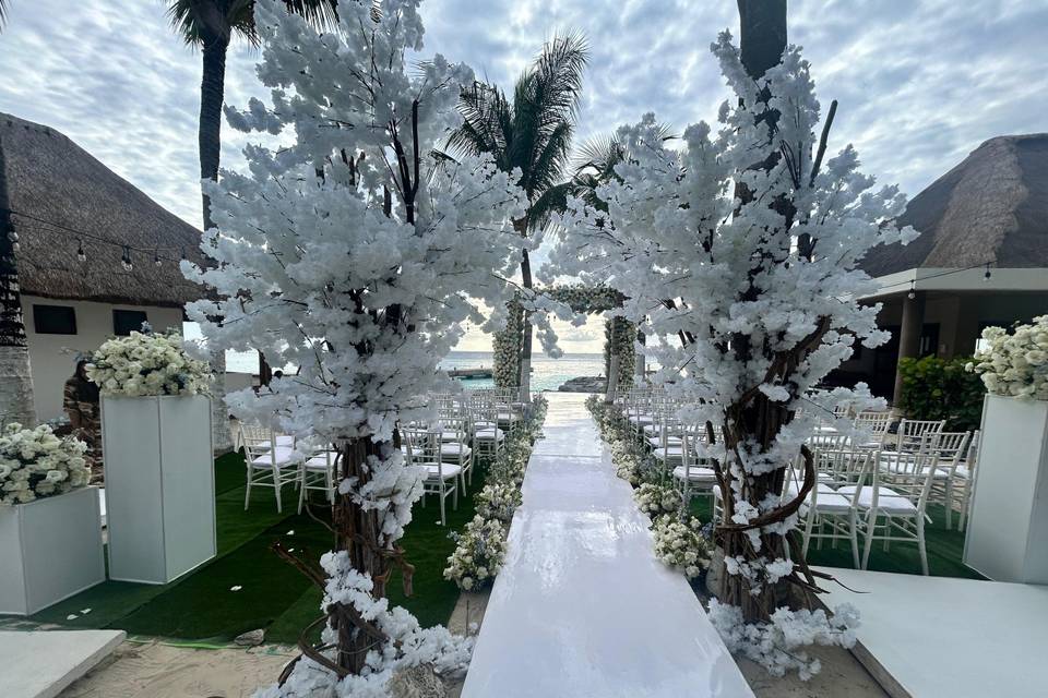 The Westin Cozumel
