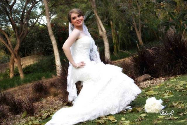 Sesion formal