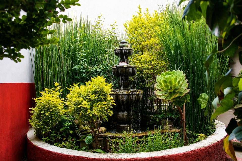 Fuente