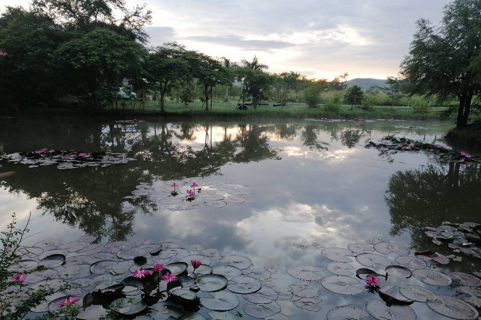 Hacienda de los Virreyes