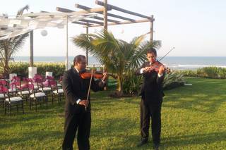 Violines Elias