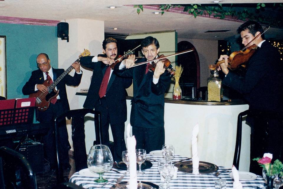Violines Elias