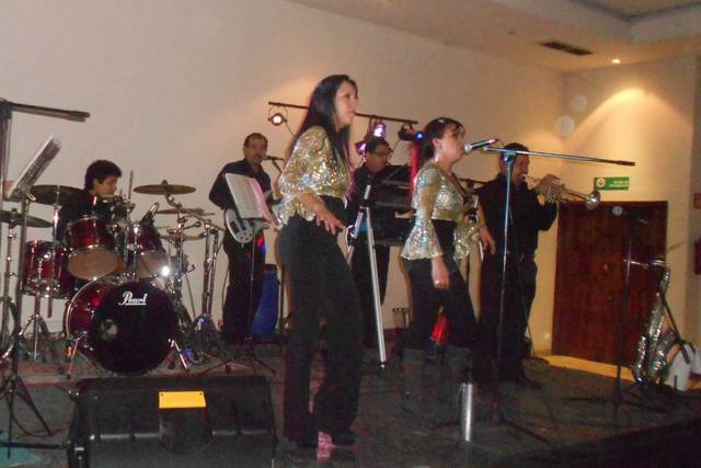 Cantantes y músicos