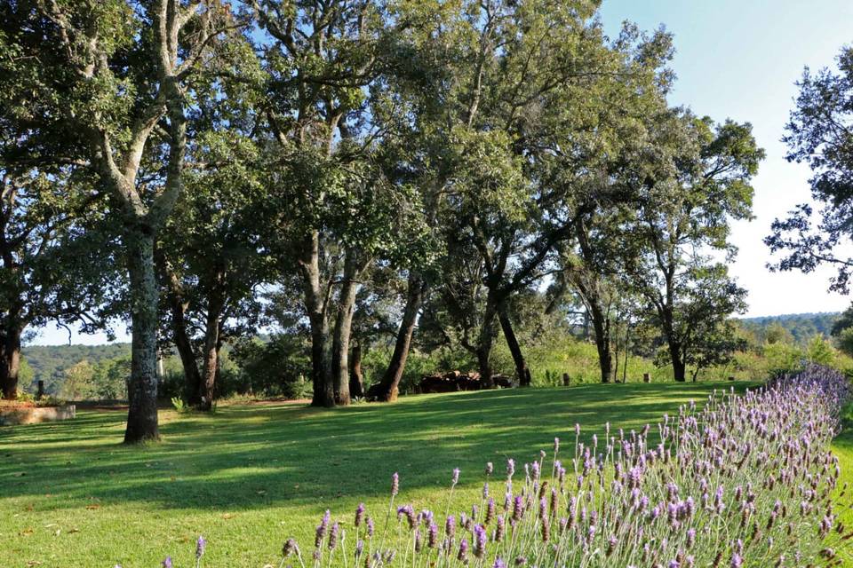 Jardín de eventos