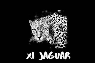 XI Botellitas Logo