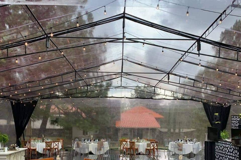 Carpa transparente