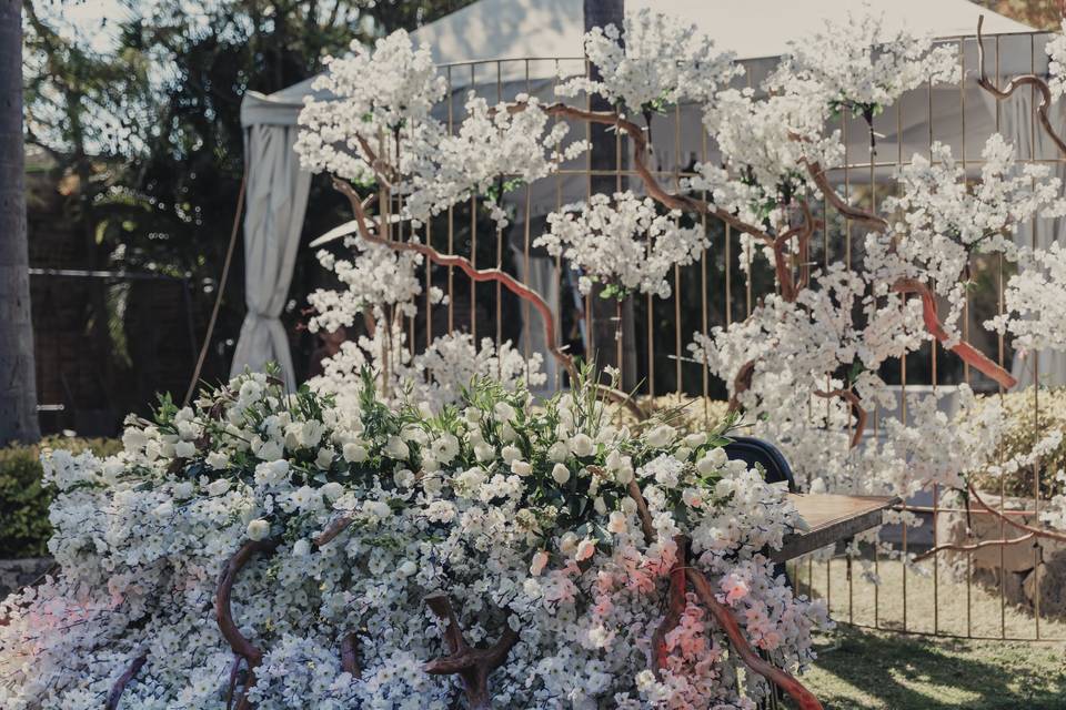 Banquetería y planificación de eventos especiales