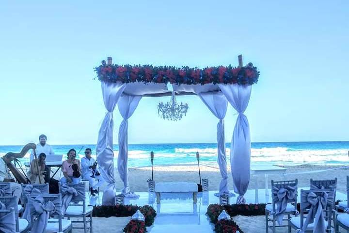 Lia Events And Wedding Design