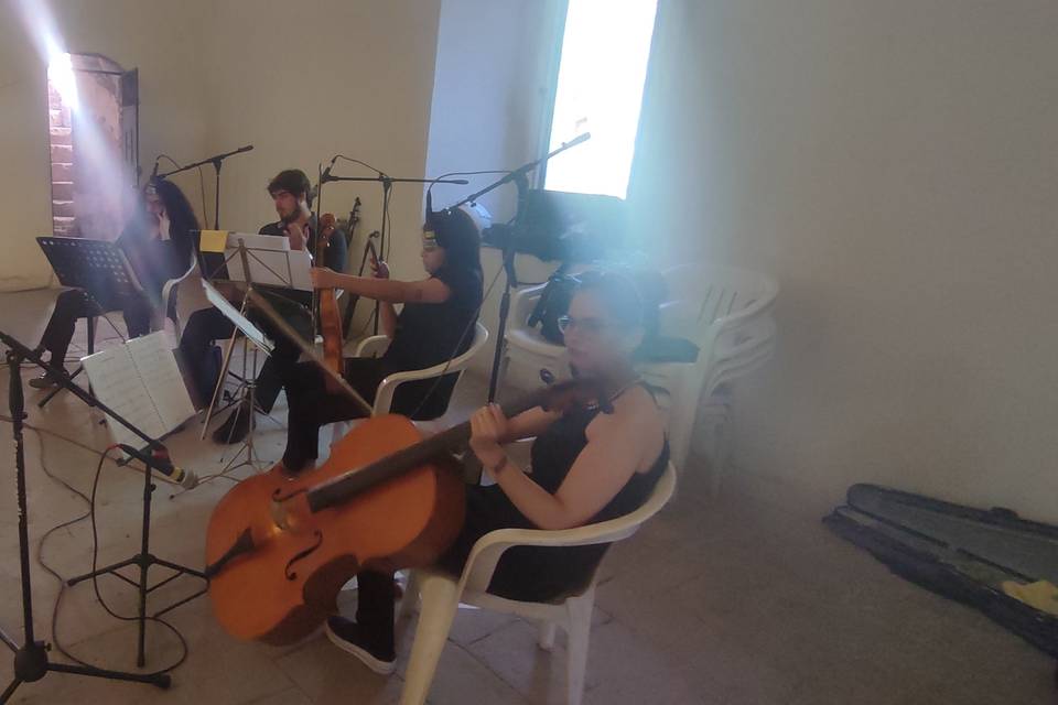 Músicos de Sinfónica
