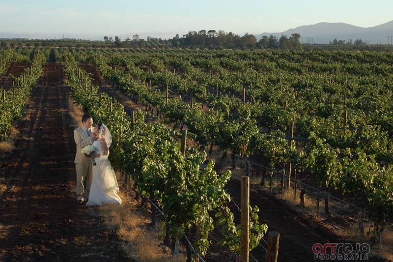 Valle de Guadalupe