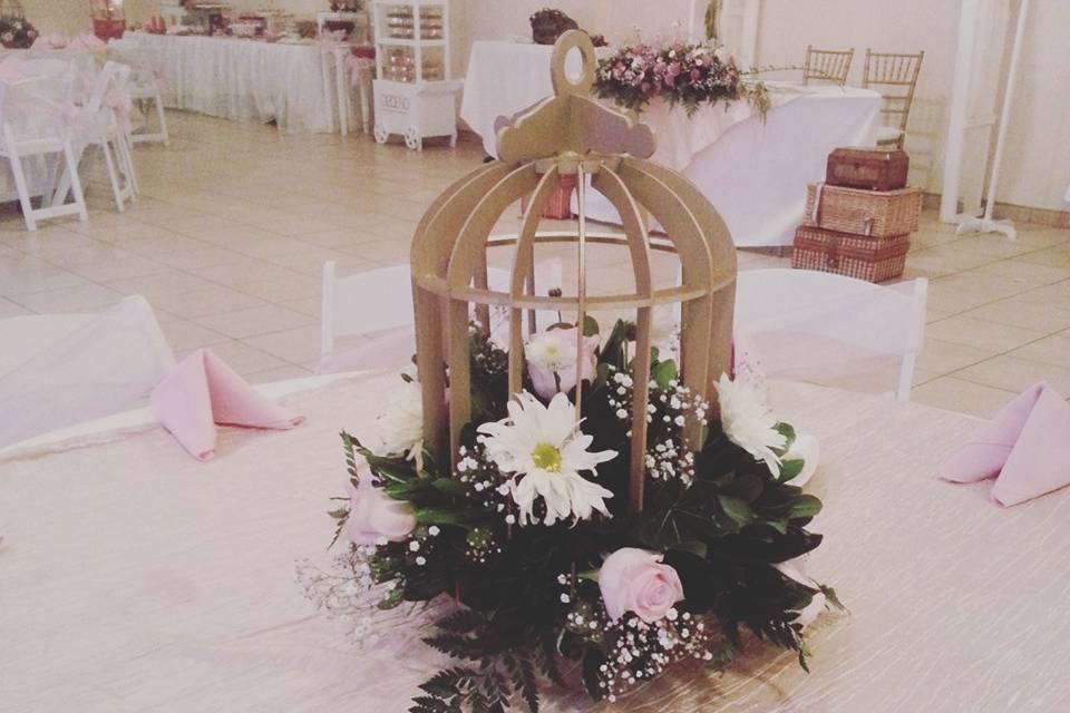 Eventos Dizoeño