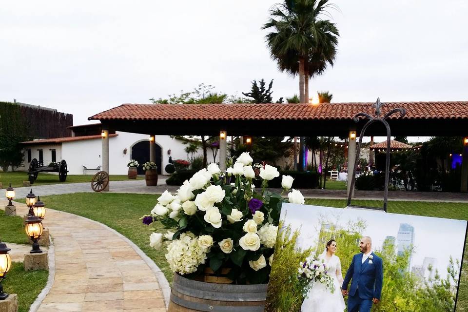 Eventos Dizoeño