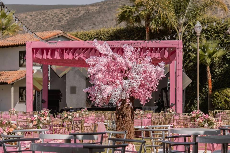 Wedding Planner Zoe Cuevas