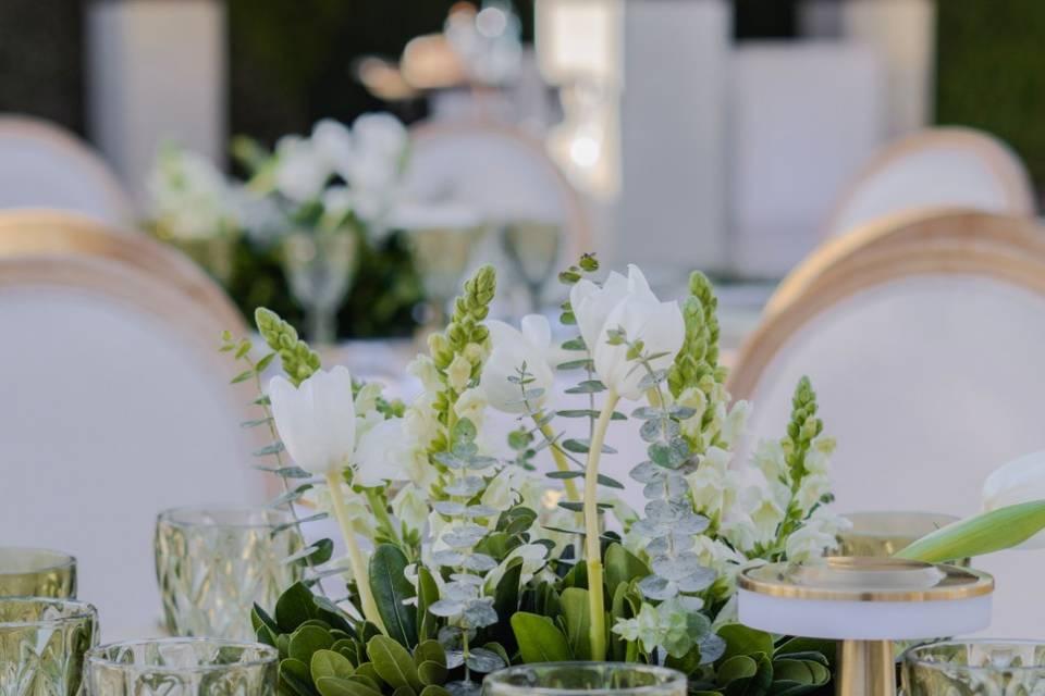 Wedding Planner Zoe Cuevas
