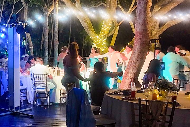 DJ y música en vivo