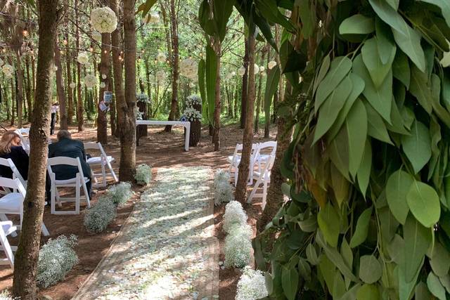 Boda hippie en el bosque