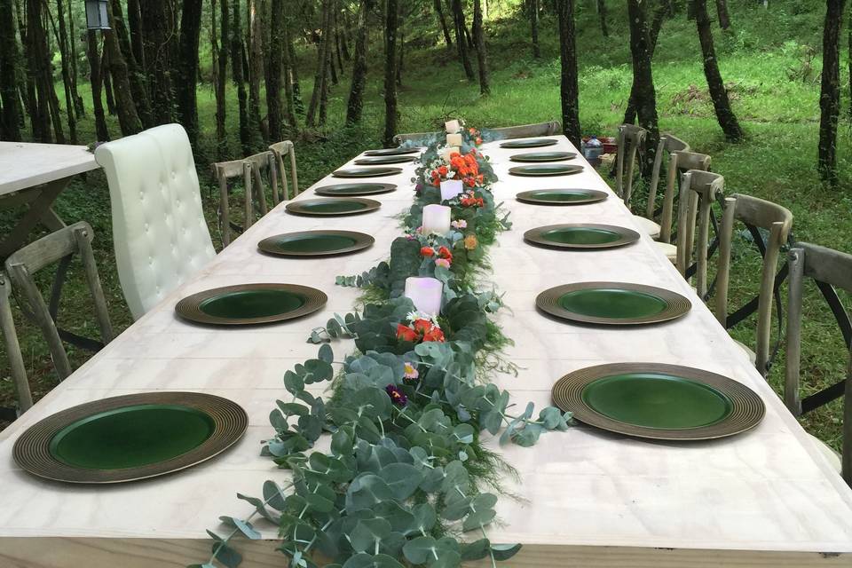 Bosque para bodas en valle